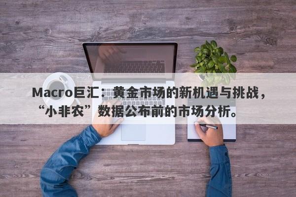 Macro巨汇：黄金市场的新机遇与挑战，“小非农”数据公布前的市场分析。-第1张图片-Macro Global Markets巨汇